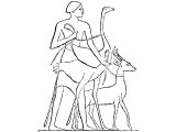 Ostrich (Struthio camelus). Heb. NOTsaH or Y`aNaH (Job 39.13, Lam.4.3, Mic.1.8, Job.30.28-29)